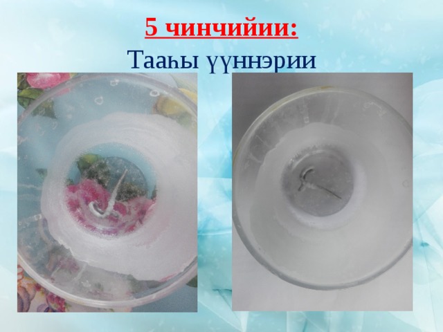 5 чинчийии:  Тааһы үүннэрии 