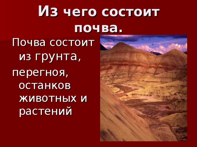 Из чего состоит почва. Почва состоит из грунта , перегноя, останков животных и растений 