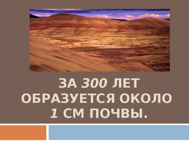ЗА 300 ЛЕТ ОБРАЗУЕТСЯ ОКОЛО   1 СМ ПОЧВЫ. 