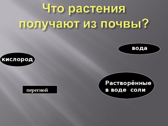 вода кислород Растворённые в воде соли перегной 