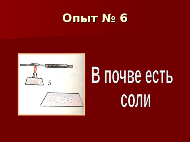 Опыт № 6 