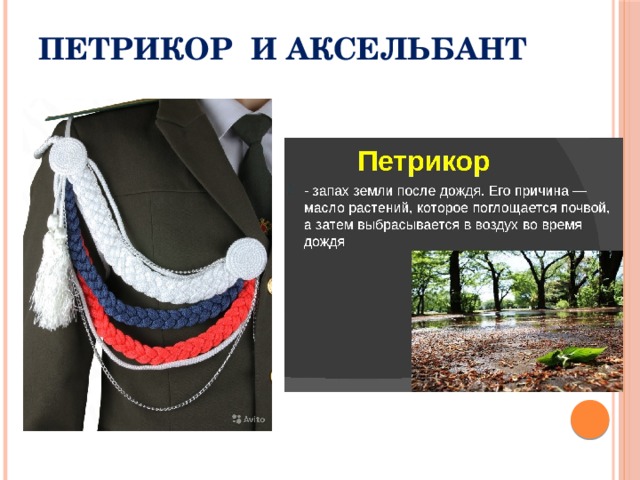 Петрикор и аксельбант 