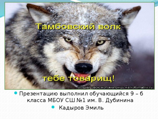 ПОЧЕМУ ТАК ГОВОРЯТ? Презентацию выполнил обучающийся 9 – б класса МБОУ СШ №1 им. В. Дубинина Кадыров Эмиль 