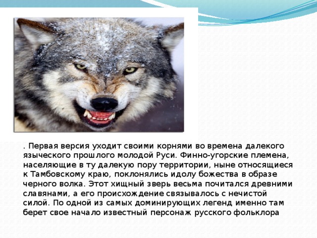 . Первая версия уходит своими корнями во времена далекого языческого прошлого молодой Руси. Финно-угорские племена, населяющие в ту далекую пору территории, ныне относящиеся к Тамбовскому краю, поклонялись идолу божества в образе черного волка. Этот хищный зверь весьма почитался древними славянами, а его происхождение связывалось с нечистой силой. По одной из самых доминирующих легенд именно там берет свое начало известный персонаж русского фольклора 