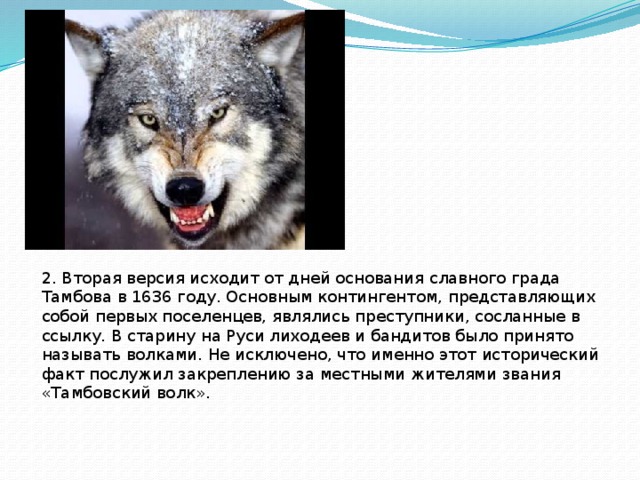 2. Вторая версия исходит от дней основания славного града Тамбова в 1636 году. Основным контингентом, представляющих собой первых поселенцев, являлись преступники, сосланные в ссылку. В старину на Руси лиходеев и бандитов было принято называть волками. Не исключено, что именно этот исторический факт послужил закреплению за местными жителями звания «Тамбовский волк». 