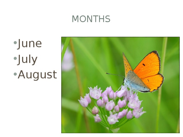 MONTHS June July August 