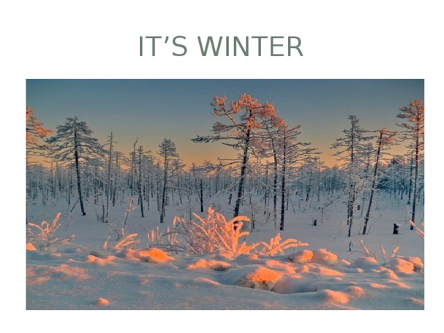 IT’S WINTER 