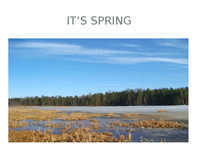 IT’S SPRING 