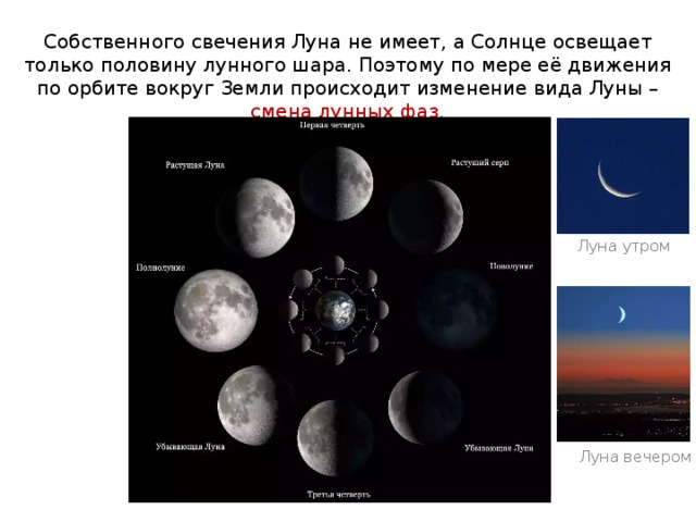 Собственного свечения Луна не имеет, а Солнце освещает только половину лунного шара. Поэтому по мере её движения по орбите вокруг Земли происходит изменение вида Луны – смена лунных фаз. Луна утром Луна вечером 