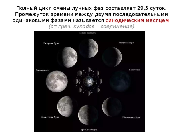 Полный цикл смены лунных фаз составляет 29,5 суток. Промежуток времени между двумя последовательными одинаковыми фазами называется синодическим месяцем  (от греч. synodos – соединение) 