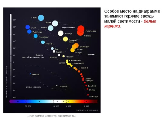 Особое место на диаграмме занимают горячие звезды малой светимости - белые карлики . Диаграмма «спектр-светимость» 