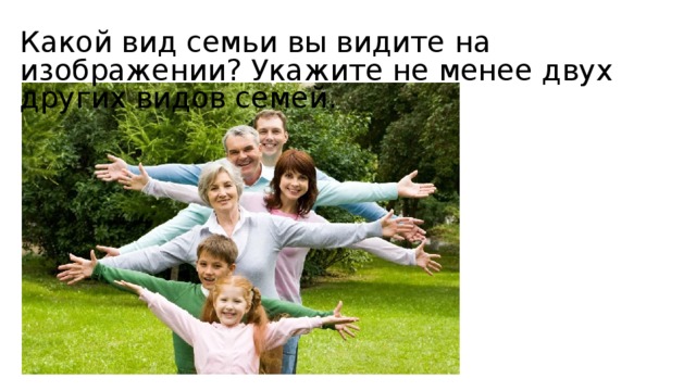 Какой вид семьи вы видите на изображении? Укажите не менее двух других видов семей. 