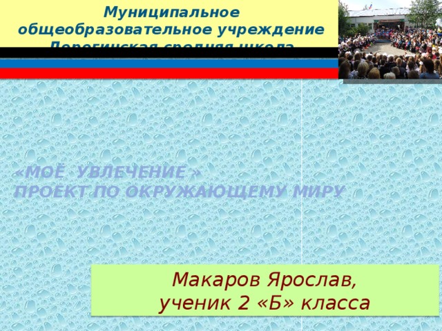 Муниципальное общеобразовательное учреждение Дорогинская средняя школа   «моё увлечение »  Проект по окружающему миру Макаров Ярослав,  ученик 2 «Б» класса  
