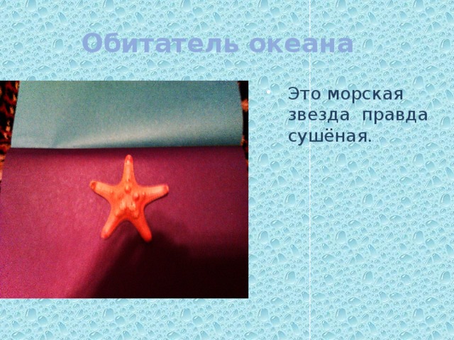 Обитатель океана Это морская звезда правда сушёная. 
