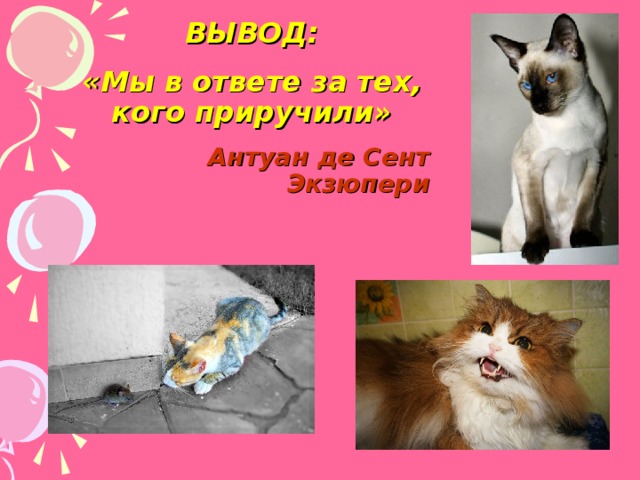 ВЫВОД: «Мы в ответе за тех, кого приручили» Антуан де Сент Экзюпери 