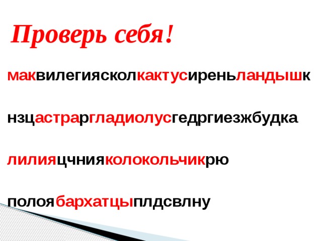 Проверь себя! мак вилегияскол кактус ирень ландыш к  нзц астра р гладиолус гедргиезжбудка  лилия цчния колокольчик рю  полоя бархатцы плдсвлну 