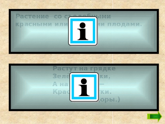 Растение со съедобными красными или жёлтыми плодами.   Растут на грядке  Зелёные ветки,  А на ветках —  Красные детки.  (Помидоры.)  