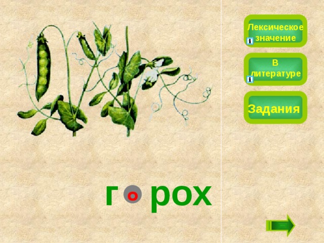 Лексическое значение В литературе Задания г  рох о 