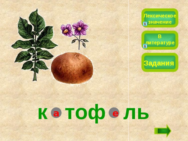 Лексическое значение В литературе Задания к  тоф ль а е 