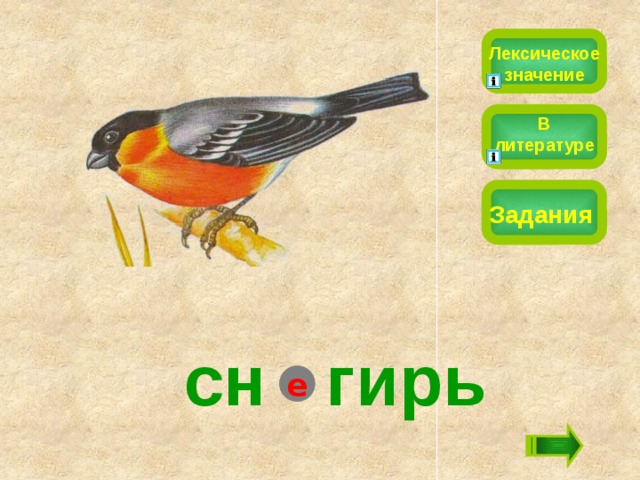 Лексическое значение В литературе Задания сн гирь е 