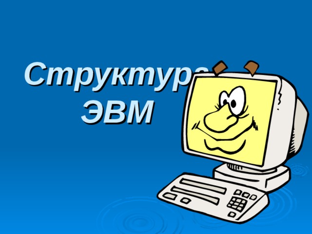 Структура ЭВМ 