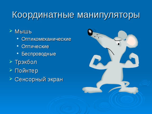 Координатные манипуляторы Мышь Оптикомеханические Оптические Беспроводные Оптикомеханические Оптические Беспроводные Трэкбол Пойнтер Сенсорный экран 