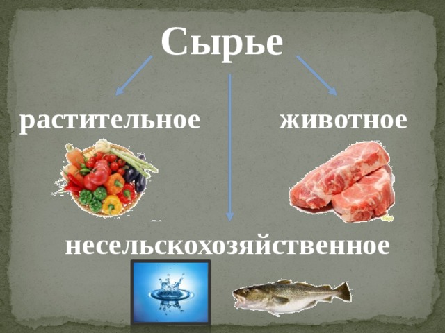 Сырье растительное животное несельскохозяйственное 