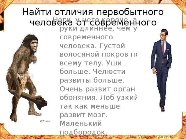 Найти отличия первобытного человека от современного Ноги у него короче, а руки длиннее, чем у современного человека. Густой волосяной покров по всему телу. Уши больше. Челюсти развиты больше. Очень развит орган обоняния. Лоб узкий, так как меньше развит мозг. Маленький подбородок. 