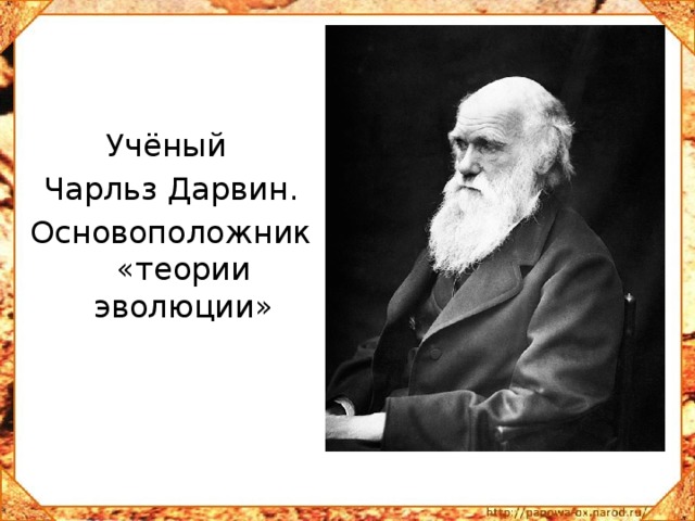 Учёный Чарльз Дарвин. Основоположник «теории эволюции» 