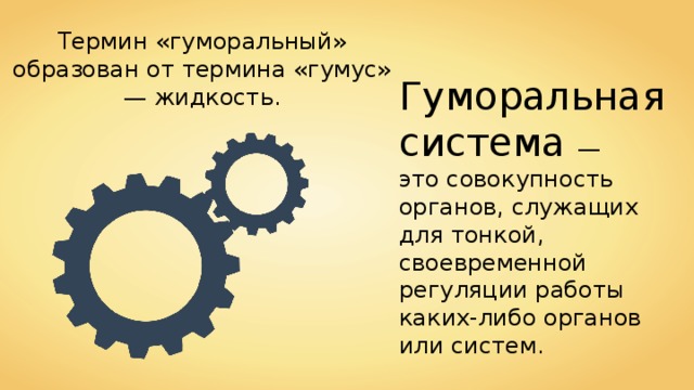 Термин «гуморальный» образован от термина «гумус» — жидкость. Гуморальная система — это совокупность органов, служащих для тонкой, своевременной регуляции работы каких-либо органов или систем. 