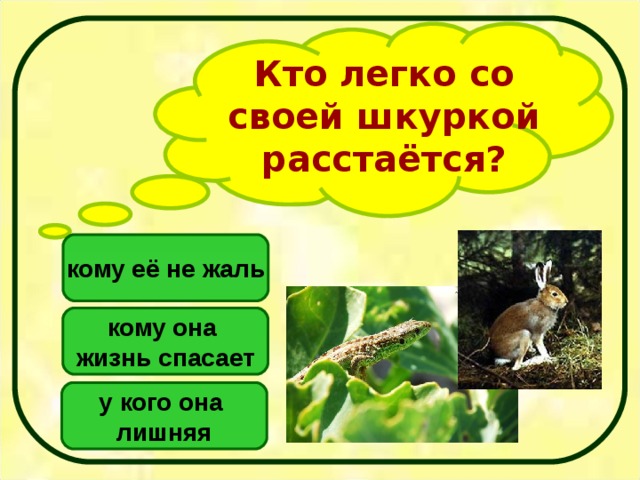 Кто легко со своей шкуркой расстаётся? кому её не жаль кому она жизнь спасает у кого она лишняя