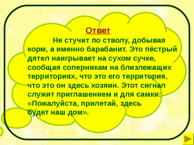 Ответ   Не стучит по стволу, добывая корм, а именно барабанит. Это пёстрый дятел наигрывает на сухом сучке, сообщая соперникам на близлежащих территориях, что это его территория, что это он здесь хозяин. Этот сигнал служит приглашением и для самки: «Пожалуйста, прилетай, здесь  будет наш дом».