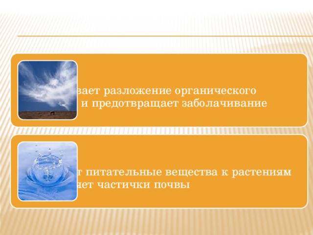 Воздух обеспечивает разложение органического вещества и предотвращает заболачивание почвы обеспечивает разложение органического вещества и предотвращает заболачивание почвы Вода переносит питательные вещества к растениям и скрепляет частички почвы переносит питательные вещества к растениям и скрепляет частички почвы 