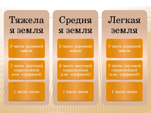 Тяжелая земля Средняя земля Легкая земля 3 части дерновой земли 2 части дерновой земли 1 часть дерновой земли 1 часть листовой (перегнойной или торфяной) 2 части листовой (перегнойной или торфяной) 3 части листовой (перегнойной или торфяной) 1 часть песка 1 часть песка 1 часть песка 