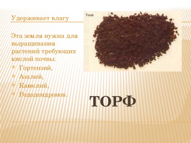 Удерживает влагу Эта земля нужна для выращивания растений требующих кислой почвы.  Гортензий,  Азалий,  Камелий,  Рододендронов. Торф 