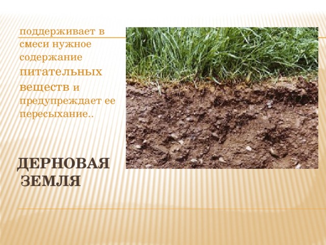 поддерживает в смеси нужное содержание питательных веществ и предупреждает ее пересыхание.. Дерновая  земля 