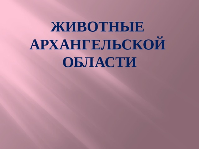 Животные  Архангельской области 