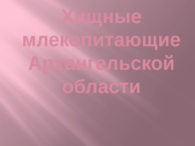 Хищные  млекопитающие  Архангельской  области 