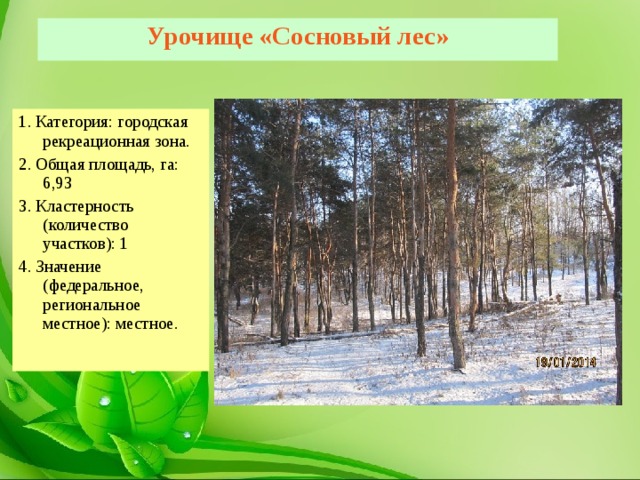 Урочище «Сосновый лес» 1. Категория: городская рекреационная зона. 2. Общая площадь, га: 6,93 3. Кластерность (количество участков): 1 4. Значение (федеральное, региональное местное): местное. 