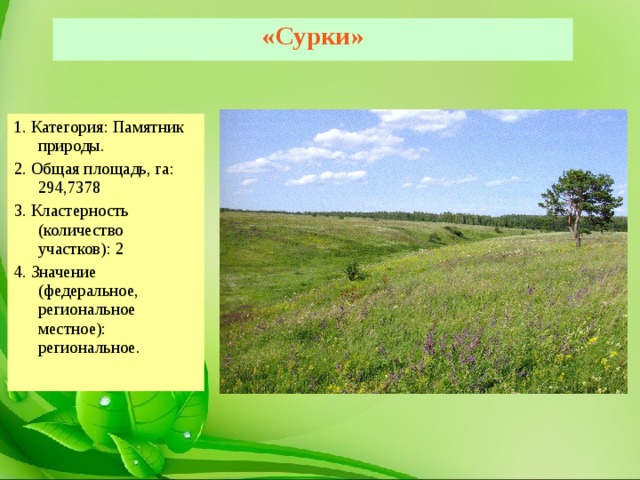 «Сурки» 1. Категория: Памятник природы. 2. Общая площадь, га: 294,7378 3. Кластерность (количество участков): 2 4. Значение (федеральное, региональное местное): региональное. 