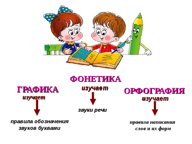 ФОНЕТИКА ГРАФИКА изучает ОРФОГРАФИЯ изучает изучает звуки речи  правила обозначения звуков буквами правила написания слов и их форм 