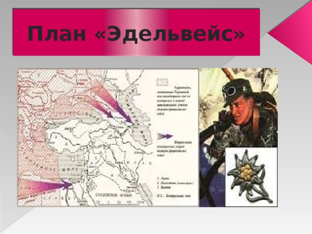План «Эдельвейс» 