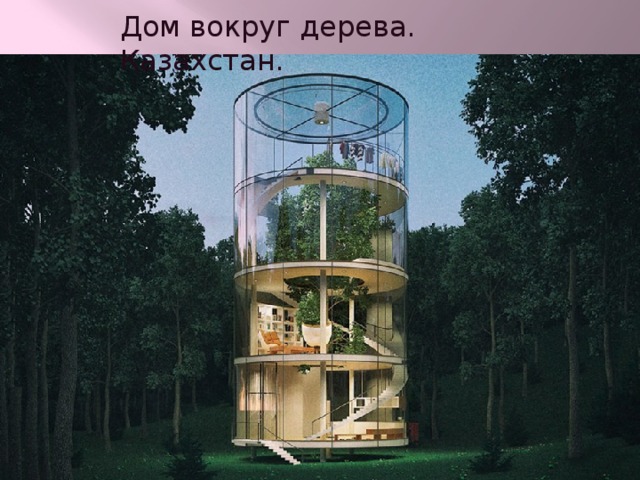 Дом вокруг дерева. Казахстан. 