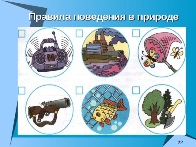 Правила поведения в природе 