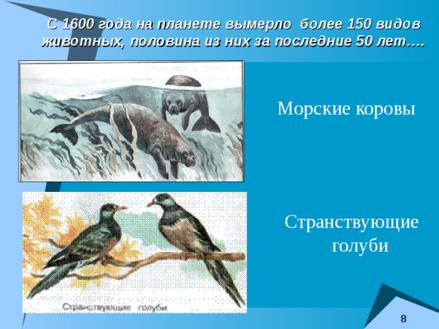 С 1600 года на планете вымерло более 150 видов животных, половина из них за последние 50 лет…. Морские коровы Странствующие голуби 
