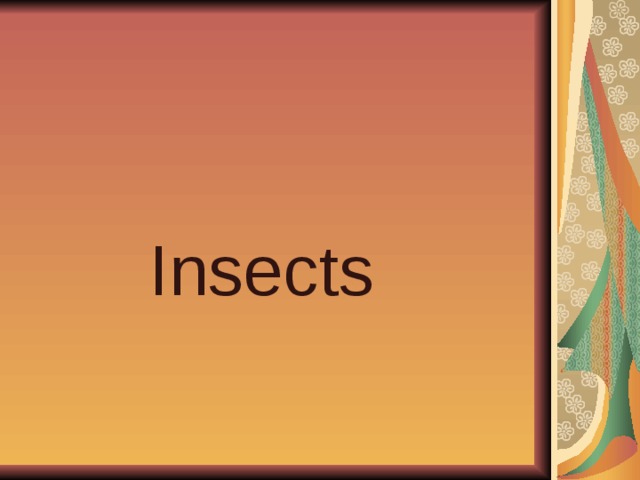  Insects 