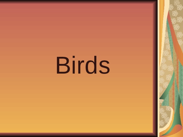 Birds 