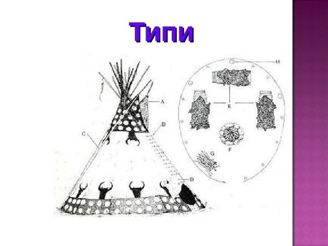 Типи 