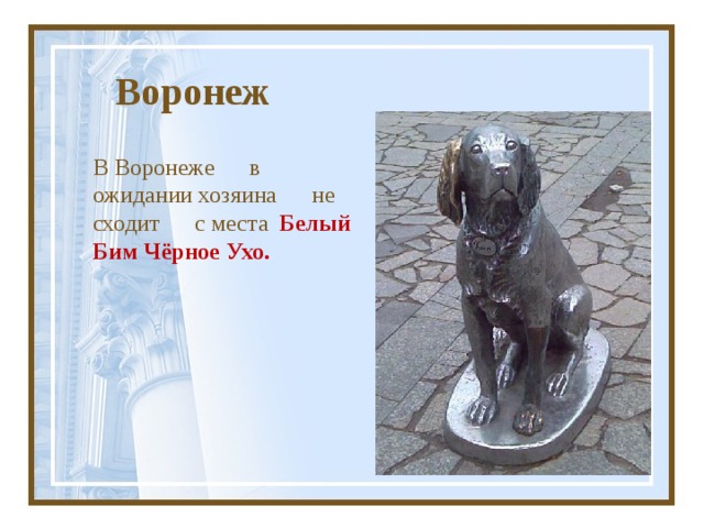 Воронеж В Воронеже в ожидании хозяина не сходит с места Белый Бим Чёрное Ухо. 
