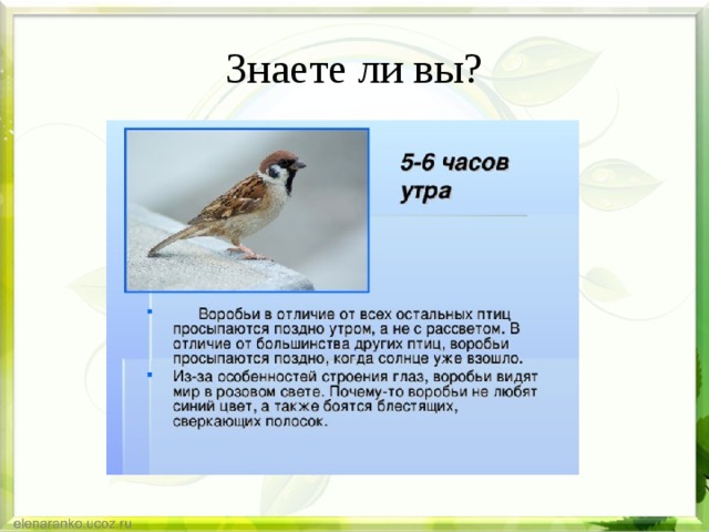 Знаете ли вы? 